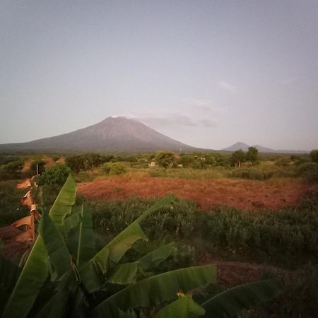 Khrisna Sunrise Homestay Tulamben Rum bild