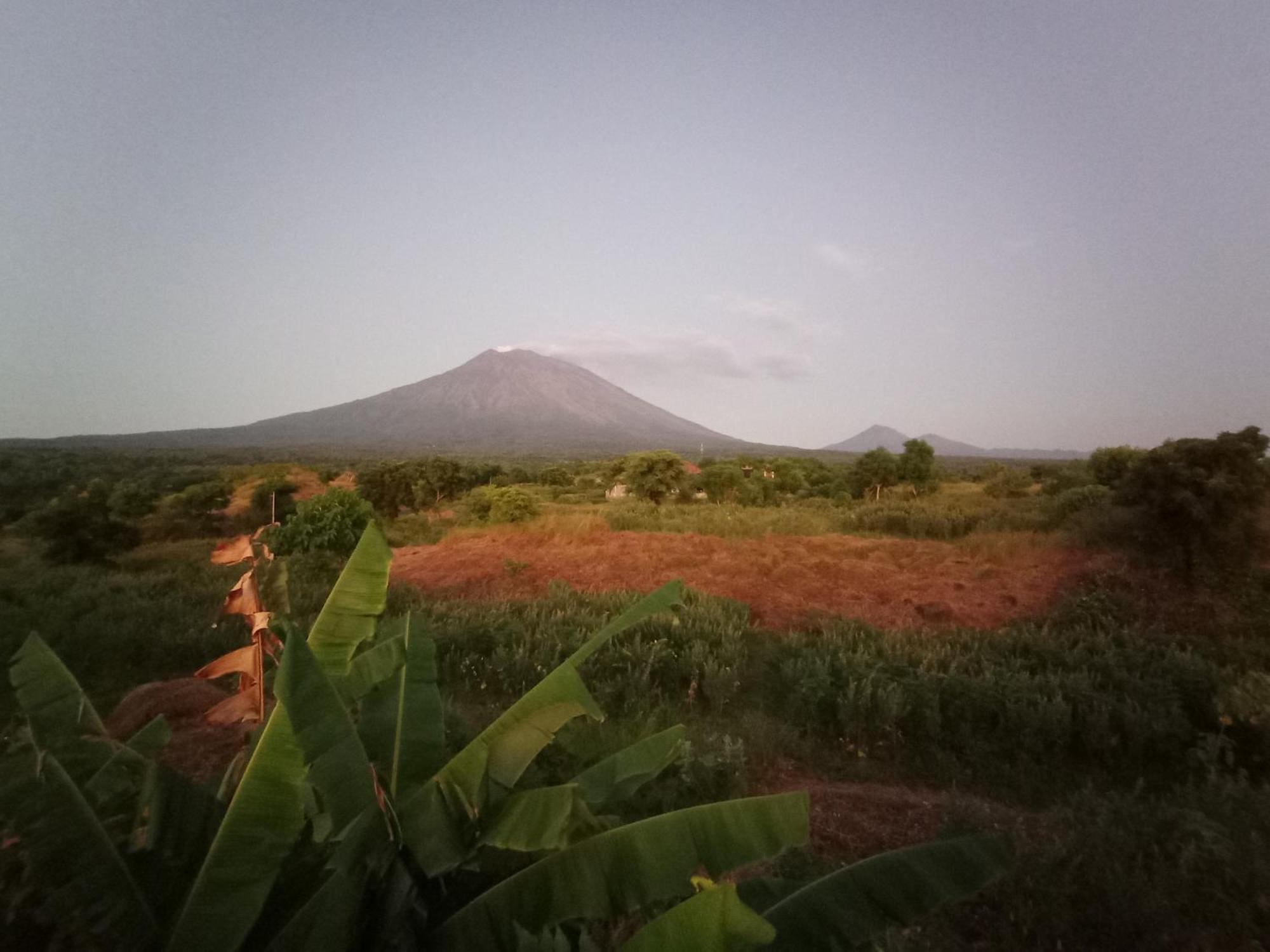 Khrisna Sunrise Homestay Tulamben Rum bild